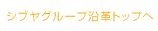 �V�u���O���[�v���v�b�V�u���O���[�v